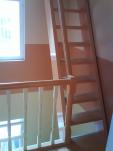 Trepp_13_ Trepp_13_